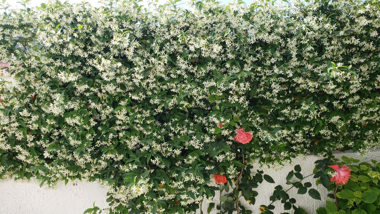 Vila Renato Ksamil Ngoại thất bức ảnh